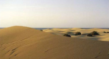 Sanddnen auf Gran Canaria